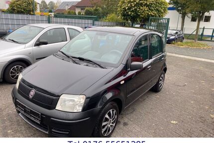 Fiat New Panda Gebrauchtwagen