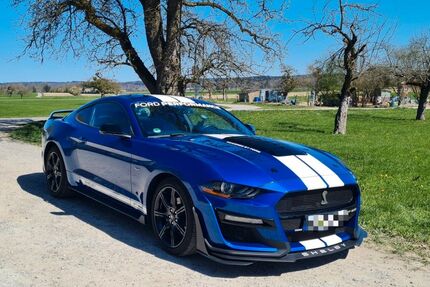Ford Mustang Gebrauchtwagen
