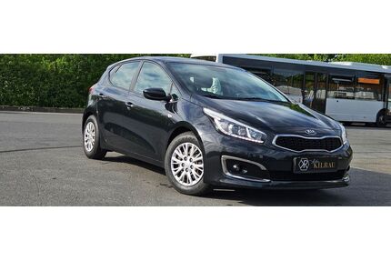 Kia ceed / Ceed Gebrauchtwagen