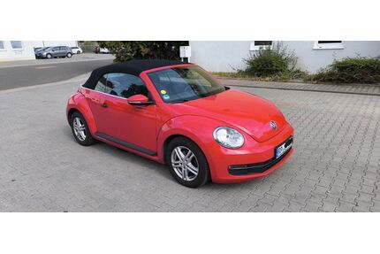 VW Beetle Gebrauchtwagen