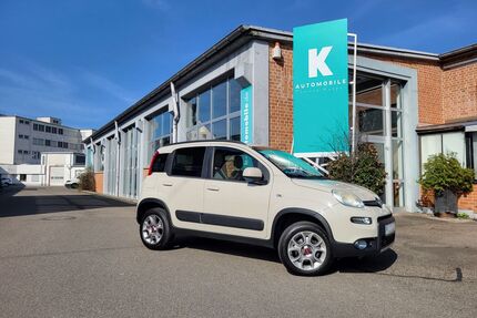 Fiat Panda Gebrauchtwagen