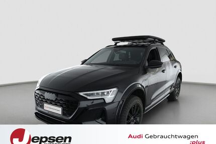 Audi Q8 e-tron Gebrauchtwagen
