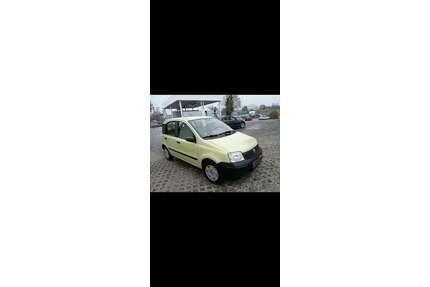 Fiat Panda Gebrauchtwagen