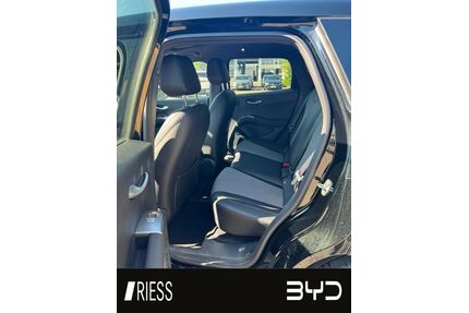 BYD DOLPHIN Gebrauchtwagen