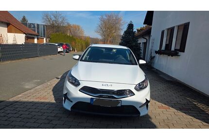 Kia ceed / Ceed Gebrauchtwagen