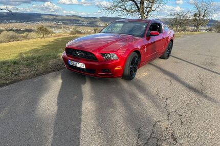 Ford Mustang Gebrauchtwagen