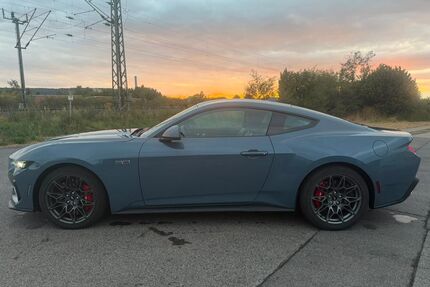 Ford Mustang Gebrauchtwagen