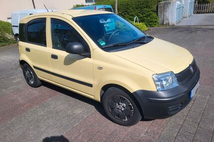 Fiat Panda Gebrauchtwagen