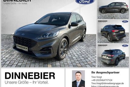 Ford Kuga Gebrauchtwagen