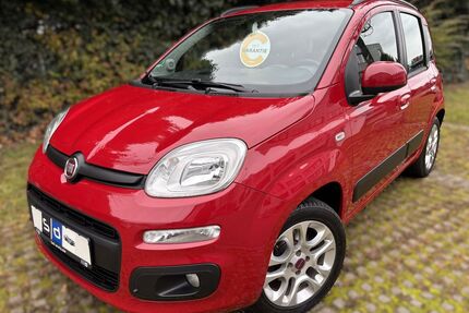 Fiat Panda Gebrauchtwagen