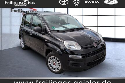 Fiat Panda Gebrauchtwagen