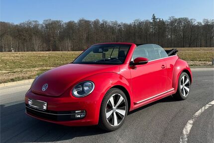 VW Beetle Gebrauchtwagen