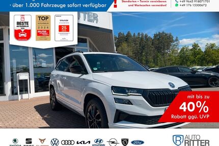 Skoda Karoq Gebrauchtwagen
