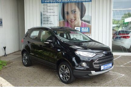 Ford EcoSport Gebrauchtwagen