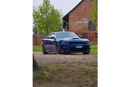 Dodge Charger Gebrauchtwagen