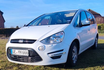 Ford S-Max Gebrauchtwagen