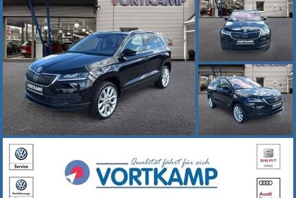 Skoda Karoq Gebrauchtwagen