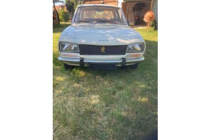 Peugeot 504 Gebrauchtwagen