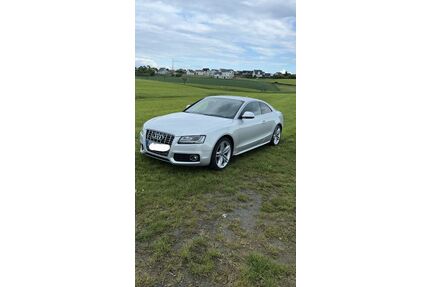 Audi S5 Gebrauchtwagen