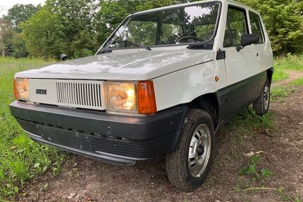 Fiat Panda Gebrauchtwagen