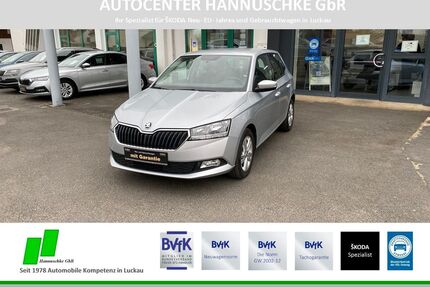 Skoda Fabia Gebrauchtwagen