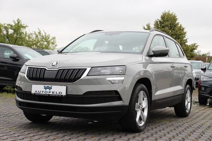 Skoda Karoq Gebrauchtwagen