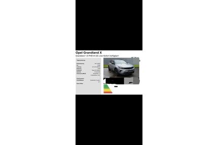 Opel Grandland (X) Gebrauchtwagen