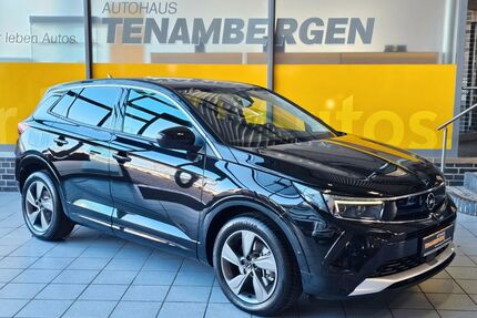 Opel Grandland (X) Gebrauchtwagen