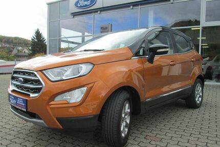 Ford EcoSport Gebrauchtwagen