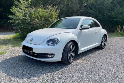 VW Beetle Gebrauchtwagen