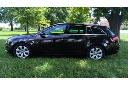 Mini Insignia 