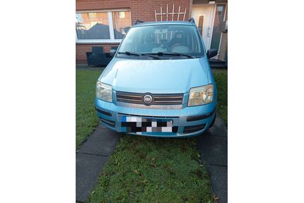 Fiat Panda Gebrauchtwagen