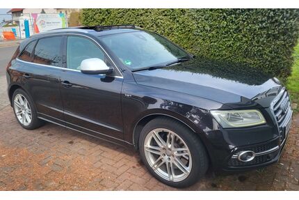 Audi SQ5 Gebrauchtwagen