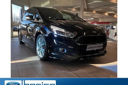 Ford S-Max Gebrauchtwagen