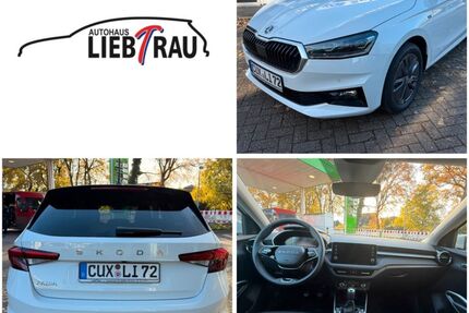 Skoda Fabia Gebrauchtwagen