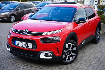 Citroen C4 Cactus Gebrauchtwagen