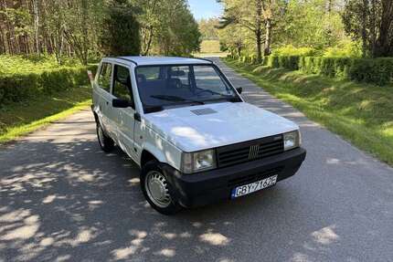 Fiat Panda Gebrauchtwagen