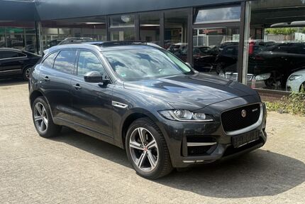 Jaguar F-Pace Gebrauchtwagen