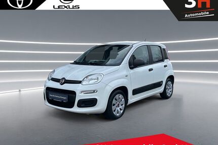 Fiat Panda Gebrauchtwagen