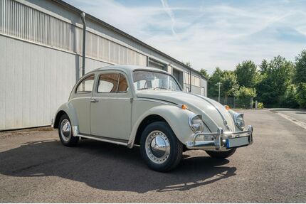 VW Käfer Gebrauchtwagen