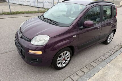 Fiat Panda Gebrauchtwagen