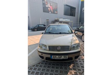 Fiat Punto Gebrauchtwagen