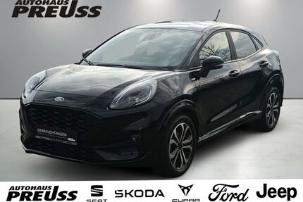 Ford Puma Gebrauchtwagen