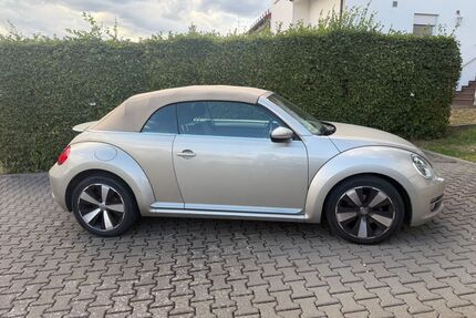 VW Beetle Gebrauchtwagen