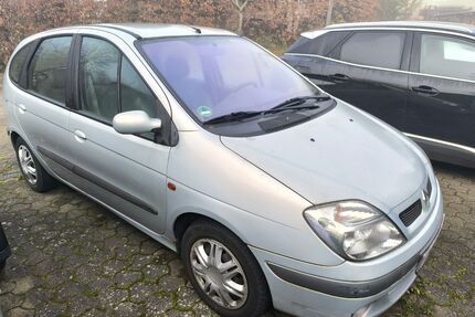 Renault Scenic Gebrauchtwagen