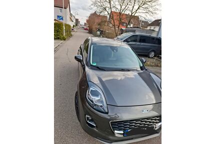 Ford Puma Gebrauchtwagen