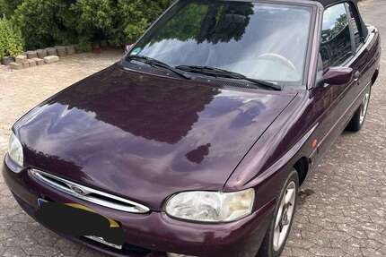 Ford Escort Gebrauchtwagen