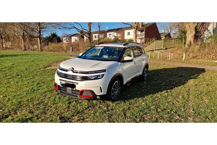 Citroen C5 Aircross Gebrauchtwagen