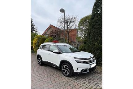 Citroen C5 Aircross Gebrauchtwagen