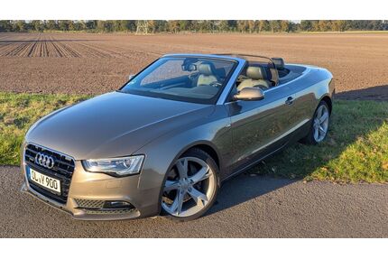 Audi A5 Gebrauchtwagen